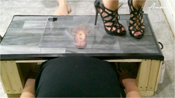 Ambers Trample Palace - Plexi Glass Cock and Ball Trampling Under My Dirty Soles Camera 3 Short Clip